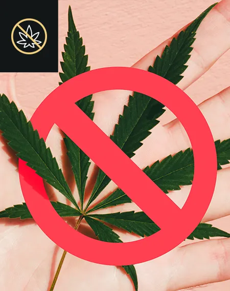 Addiction cannabis — auriculothérapie laser